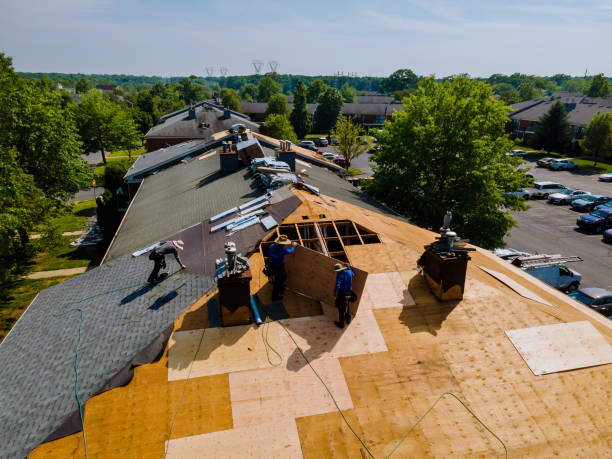 Best Storm Damage Roof Repair  in Montevlo, AL