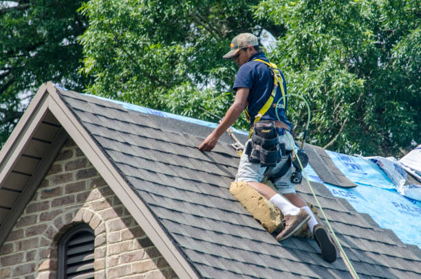 Roof Gutter Cleaning in Montevallo, AL